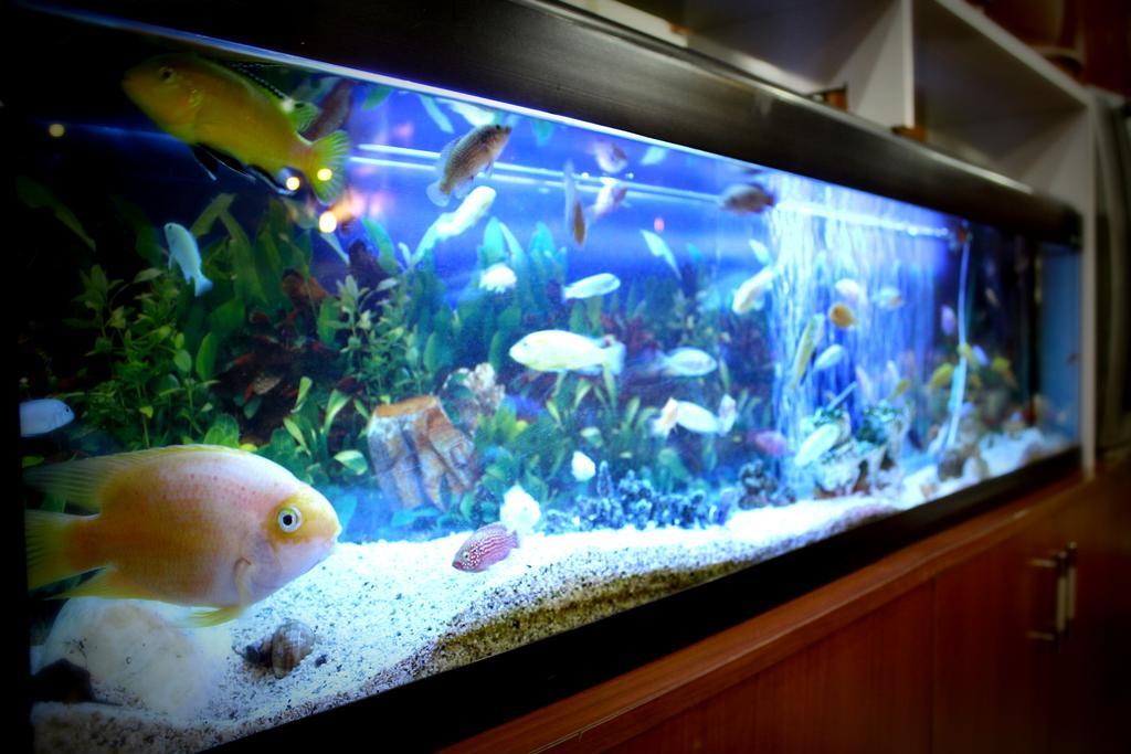 Simge Hotel Istanbul Bagian luar foto